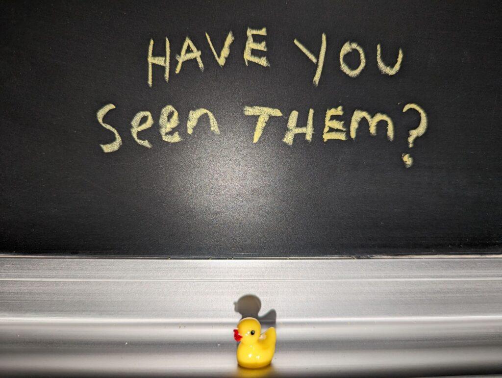 Cabrillo College is asking for help -- there are 55 glass ducks hidden in the library, and students are tasked with finding them! Photo by: Ruby Lee Schembari.