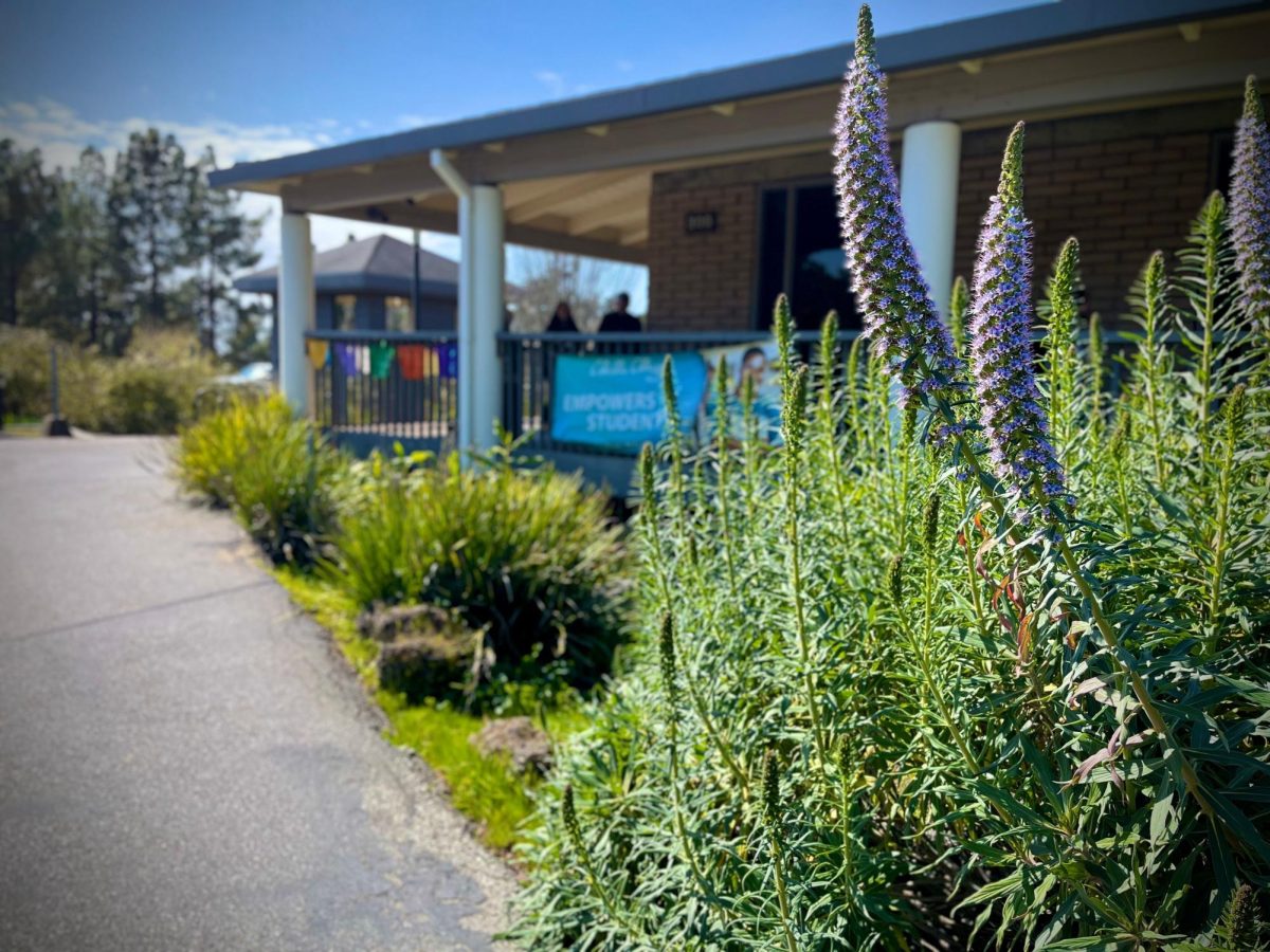 From spring showers to golden rays of sunshine, students at Cabrillo's Aptos Campus keep jamming on regardless of the weather. 