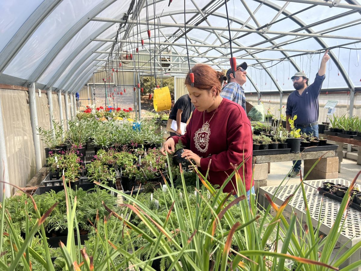 Student Jasmine Garcia observing a potted plant inside the greenhouse. 
Photo taken by Natalie Cuevas.