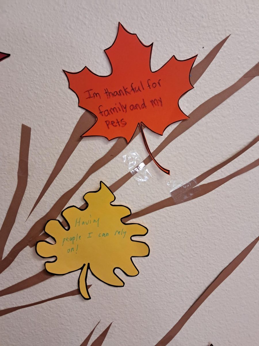 The decorative paper leaves of the Thankful tree with words of gratitude dedicated to the things the author appreciates most. 