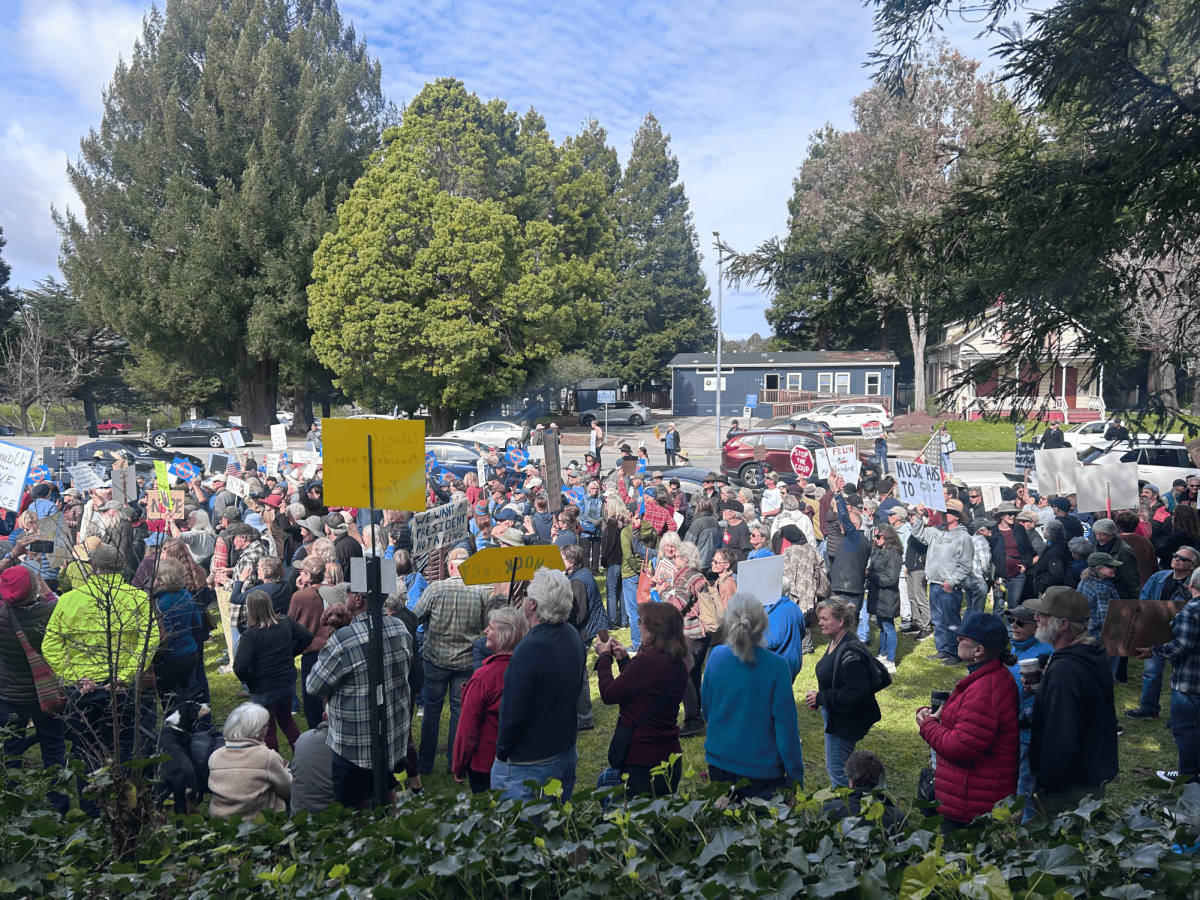 Protestors gather at the Santa Cruz Courthouse on President's Day, as part of a national movement rejecting president-elect Donald Trump. 