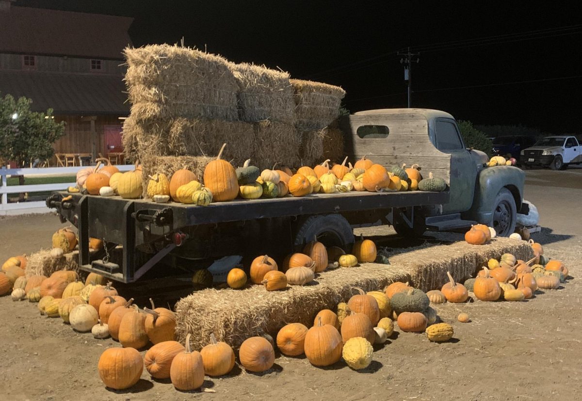 There are plenty of cozy, fun activities for everyone to do this fall season. 